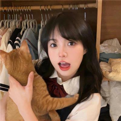 扫毒之兄弟情深